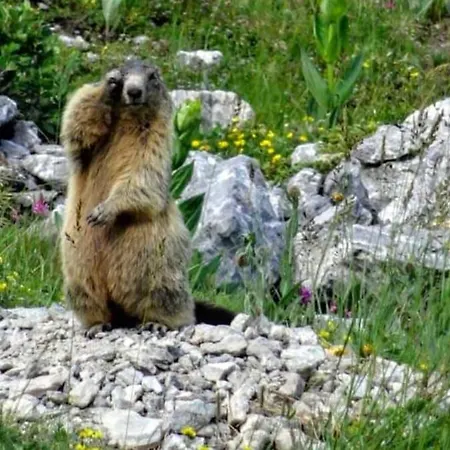 Tres Agreable, Toutes Saisons Avec Parking Enchastrayes