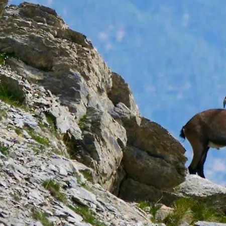 Tres Agreable, Toutes Saisons Avec Parking