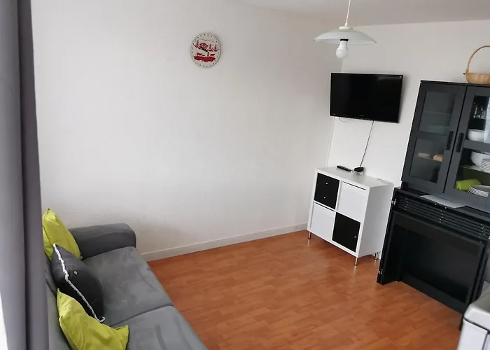 Tres Agreable, Toutes Saisons Avec Parking 公寓 *