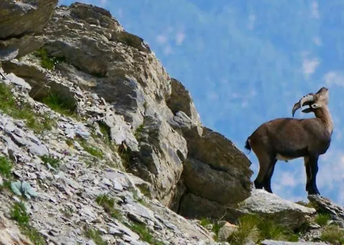 Tres Agreable, Toutes Saisons Avec Parking